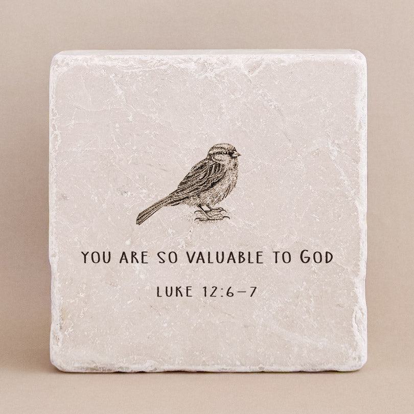 591 | Luke 12:6-7 - Twelve Stone Art