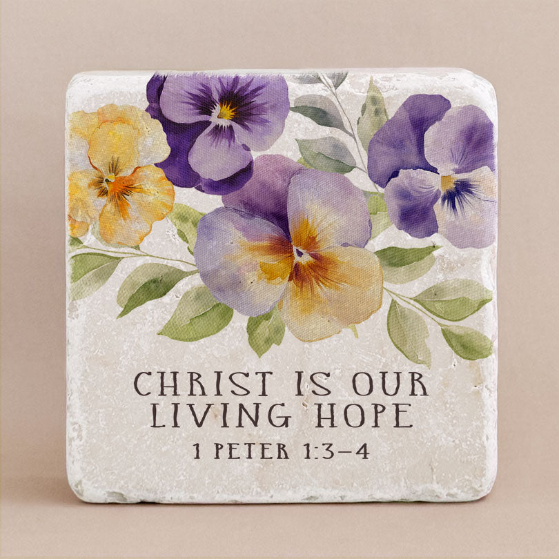 676 | 1 Peter 1:3-4 - Twelve Stone Art