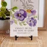 677 | Colossians 1:27 - Twelve Stone Art